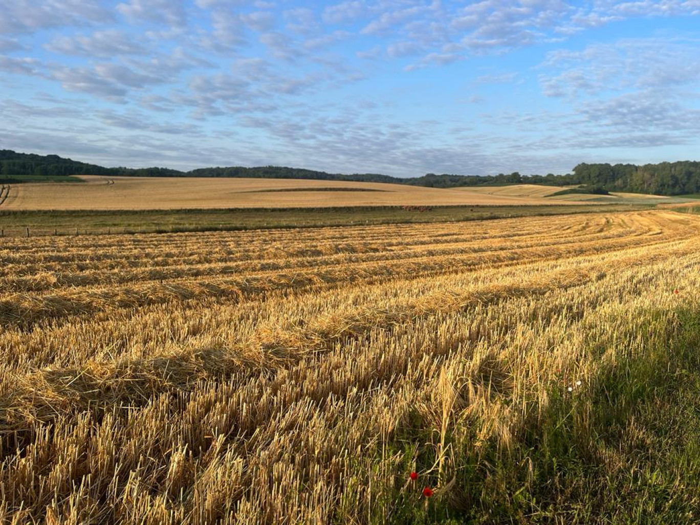 La Vallée de l'Oise. (c)VK