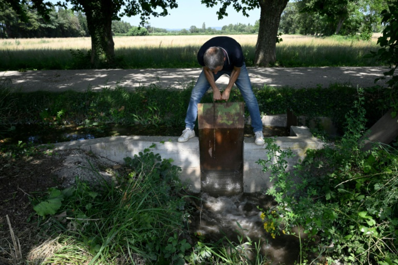 Le chercheur en agronomie François Charron ouvre une vanne pour inonder un champ près de Salon-de-Provence dans le Bouches-du-Rhône, le 23 juin 2023 © Nicolas TUCAT