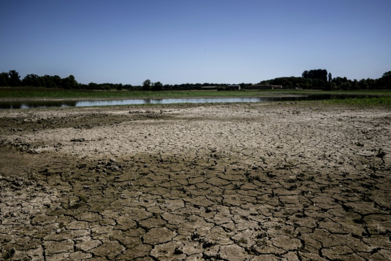 Un étang asséché, le 11 août 2023 près de Joyeux dans le plateau des Dombes © JEFF PACHOUD