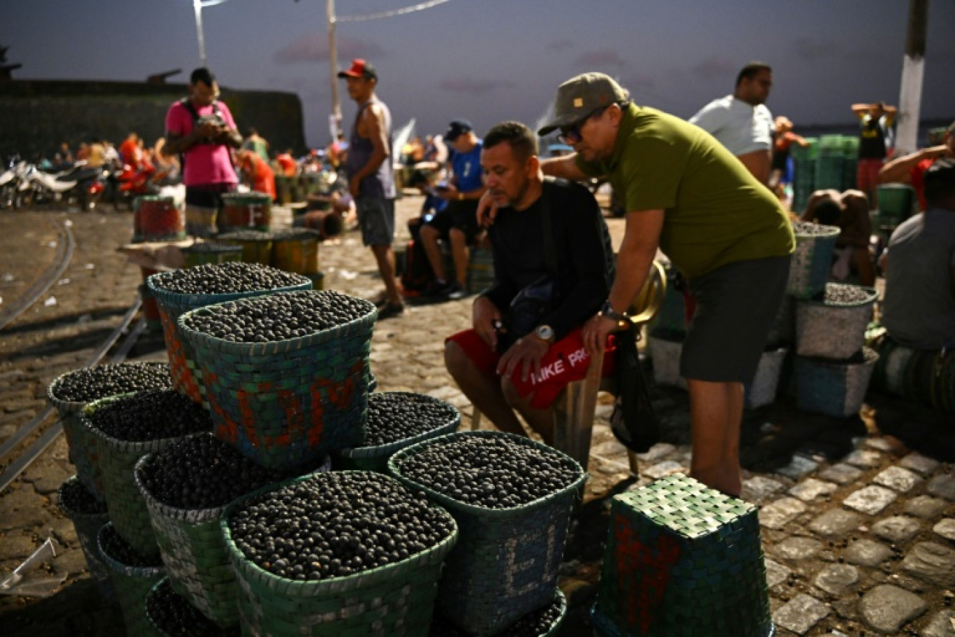 Des paniers remplis d'açai sur un marché à Belem, au Brésil, le 4 août 2023 © EVARISTO SA