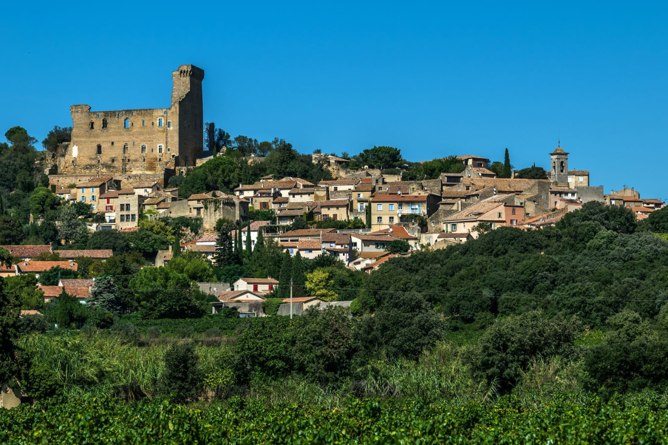 Entre Rhône et Mont-Ventoux, Châteauneuf-du-Pape dispose d’un panorama exceptionnel sur la vallée du Rhône. © Pictures news