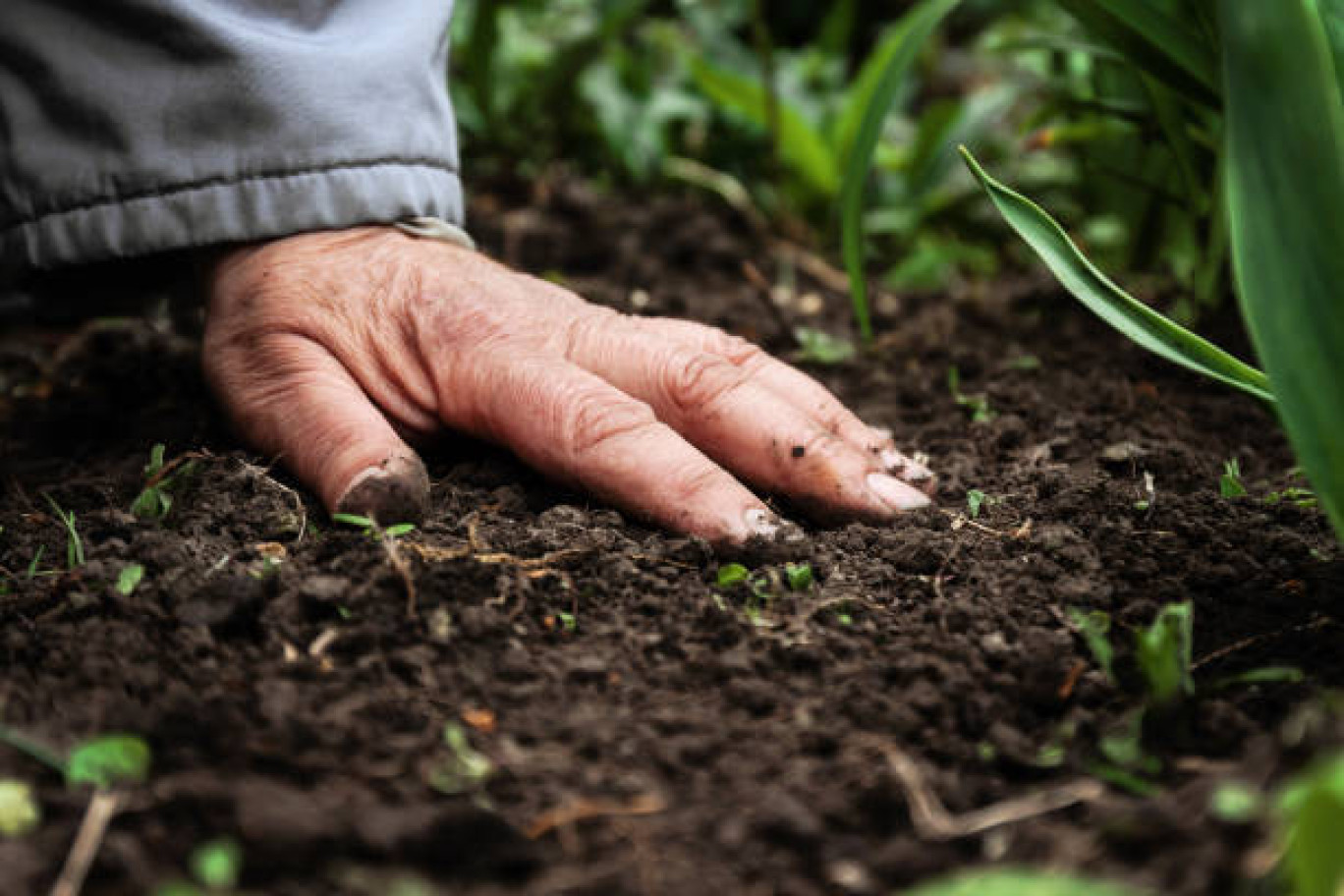 La filière agricole meurthe-et-mosellane sous les projecteurs