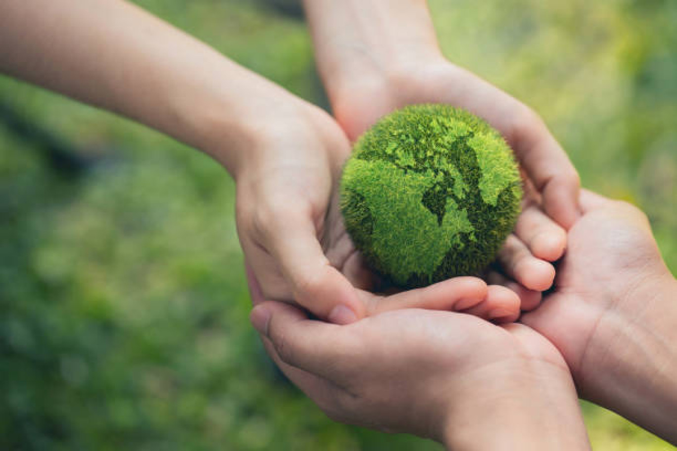 Plus que jamais, les écogestes et le respect de la nature doivent s'imposer dans nos quotidiens.