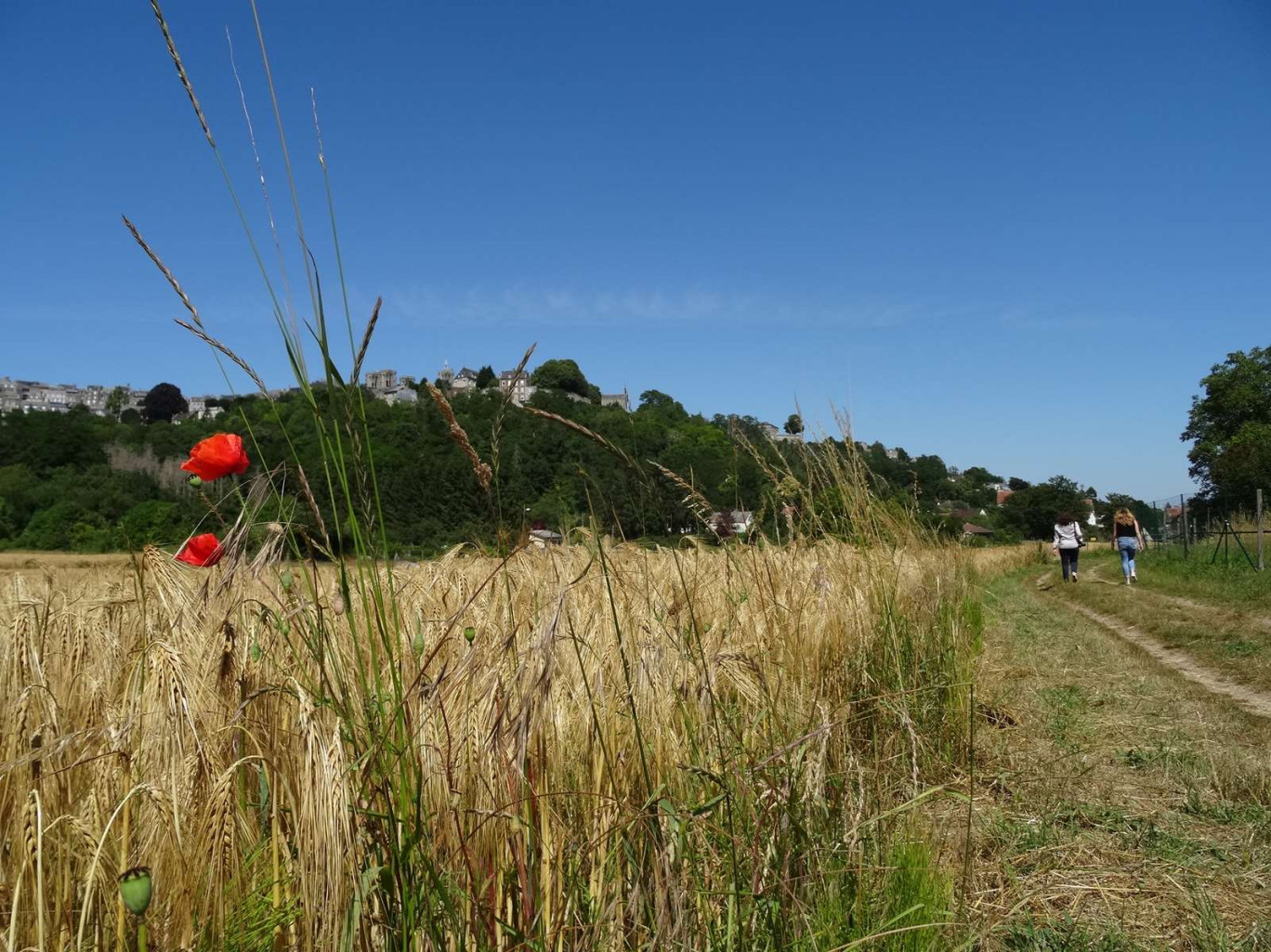 La Cuve Saint-Vincent offre un espace naturel au cœur de la cité médiévale de Laon.