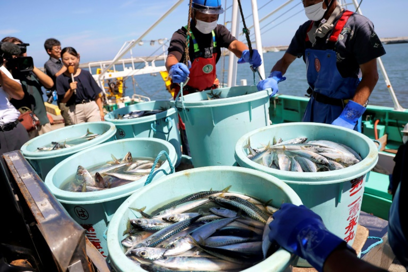 Des pêcheurs déchargent leur pêche au port de Matsukawaura, le 1er septembre 2023 à Soma, une semaine après que les eaux traitées de la centrale nucléaire  de Fukushima Daiichi ont été rejetées dans l'océan © STR