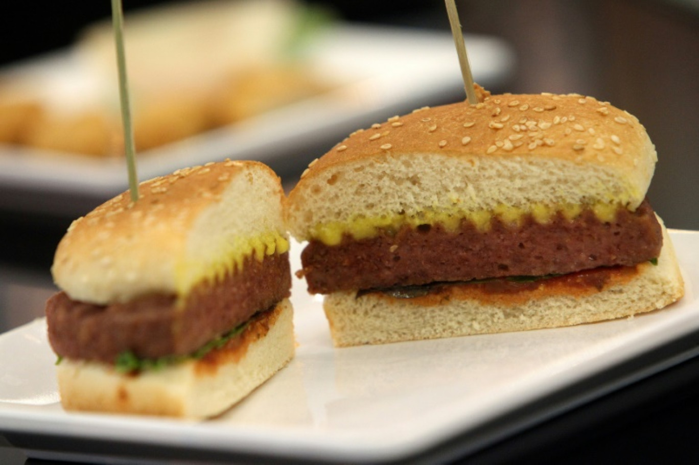 Un burger vegan à la foire international de l'industrie de la viande à Francfort, en Allemagne, le 6 mai 2019 © Daniel ROLAND