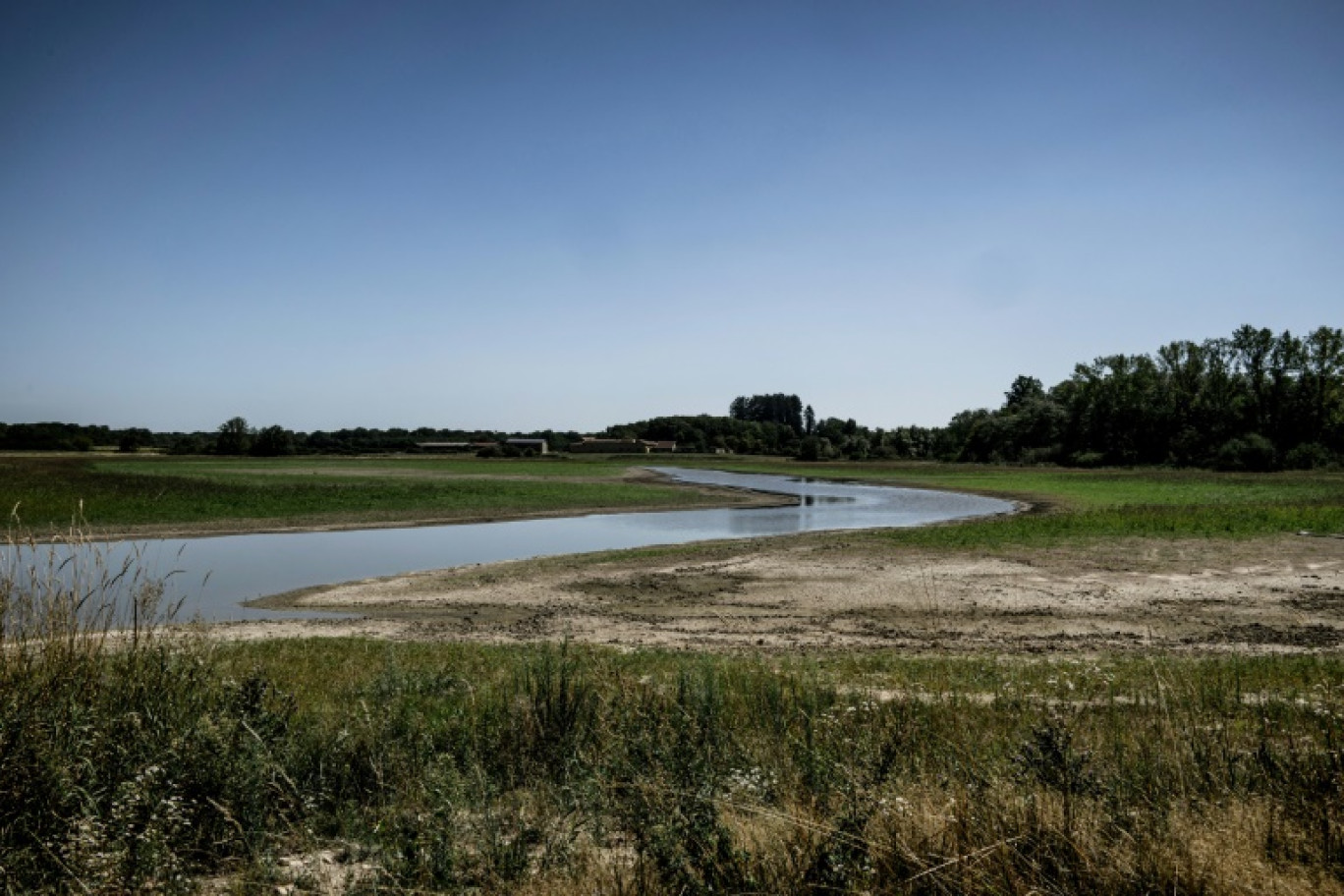 Un étang touché par la sécheresse, près de Joyeux, dans le plateau des Dombes, le 11 août 2023 dans l'Ain © JEFF PACHOUD