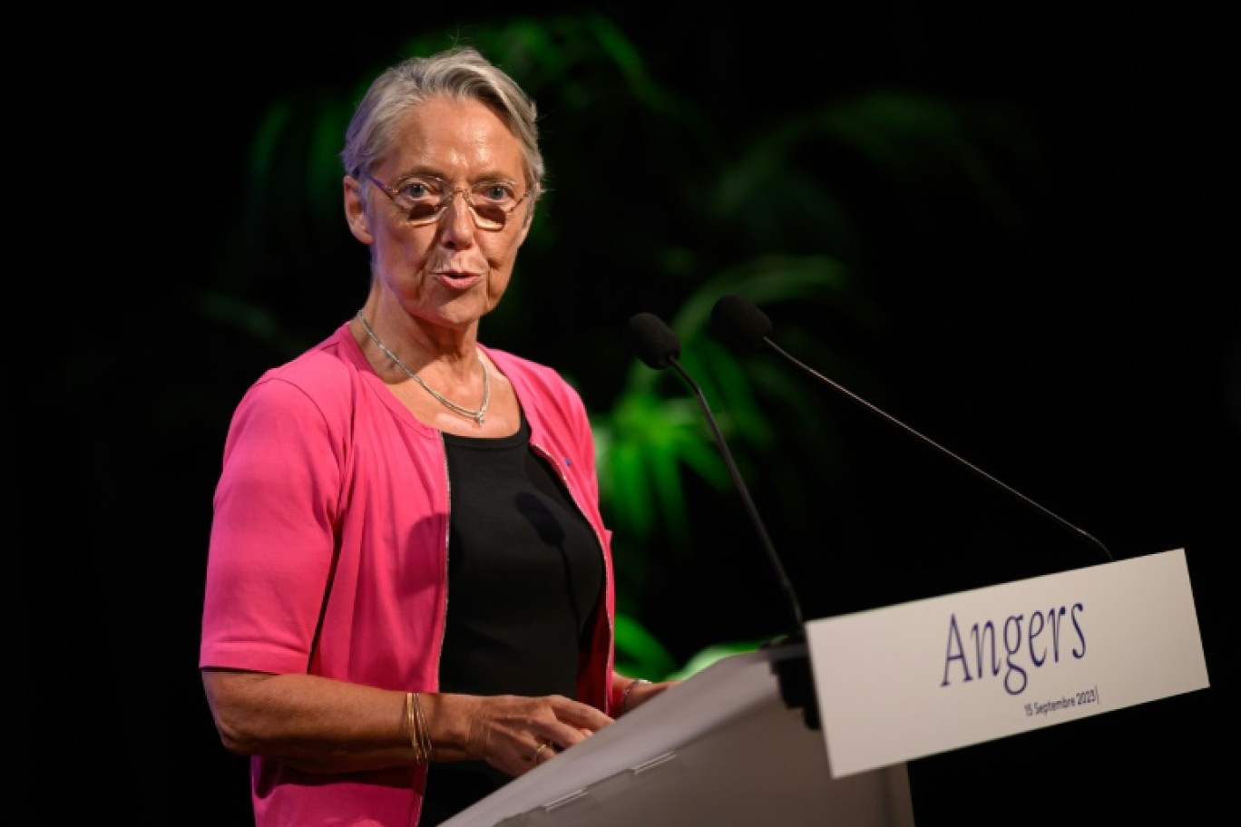 Elisabeth Borne lors de son intervention devant les parlementaires d'Horizons, le parti allié d'Edouard Philippe, à Angers le 15 septembre 2023 © LOIC VENANCE