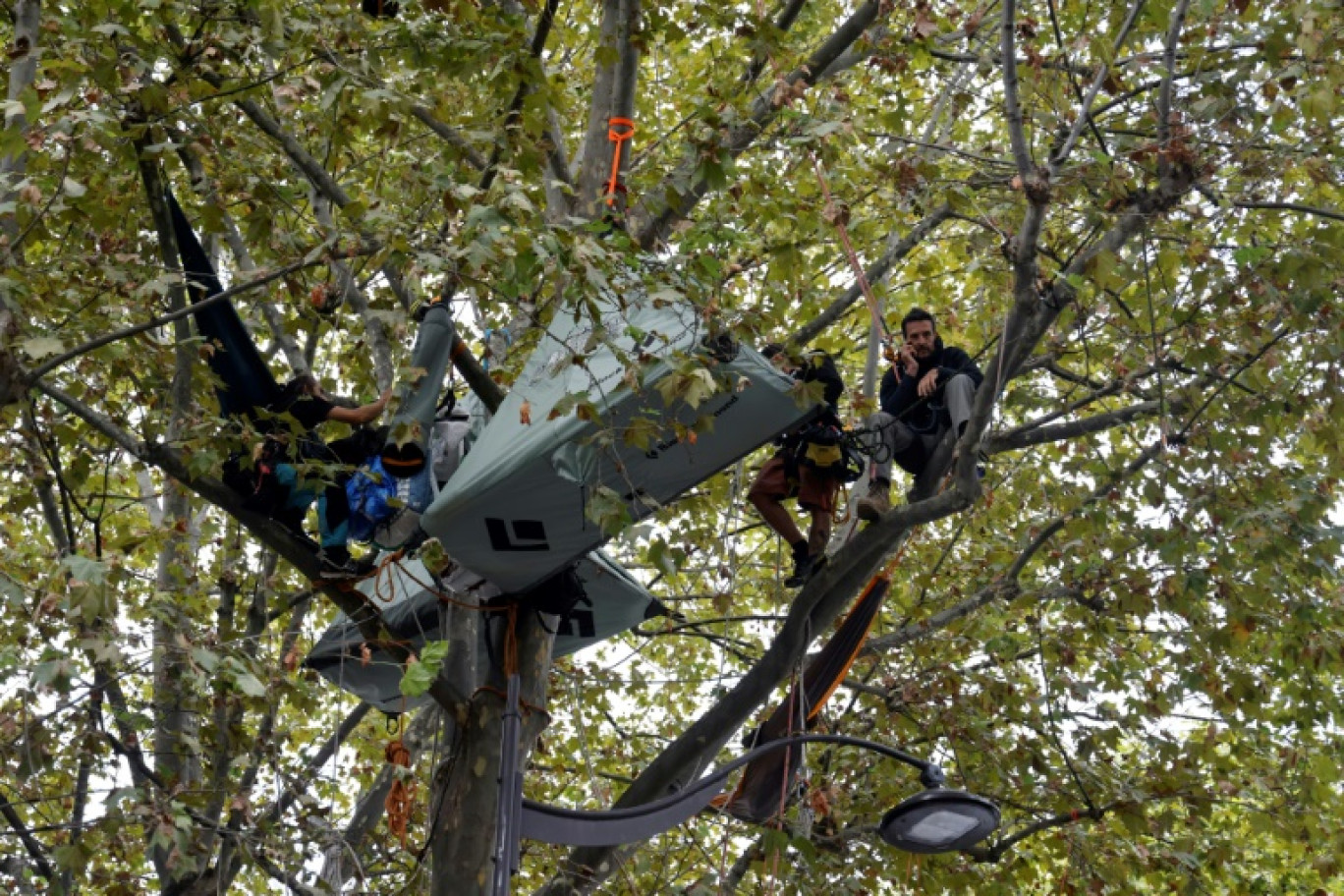 L'activiste français Thomas Brail (d) près de sa tente installée dans un arbre face au ministère de la Transition écologique à Paris, le 18 septembre 2023 © Ludovic MARIN