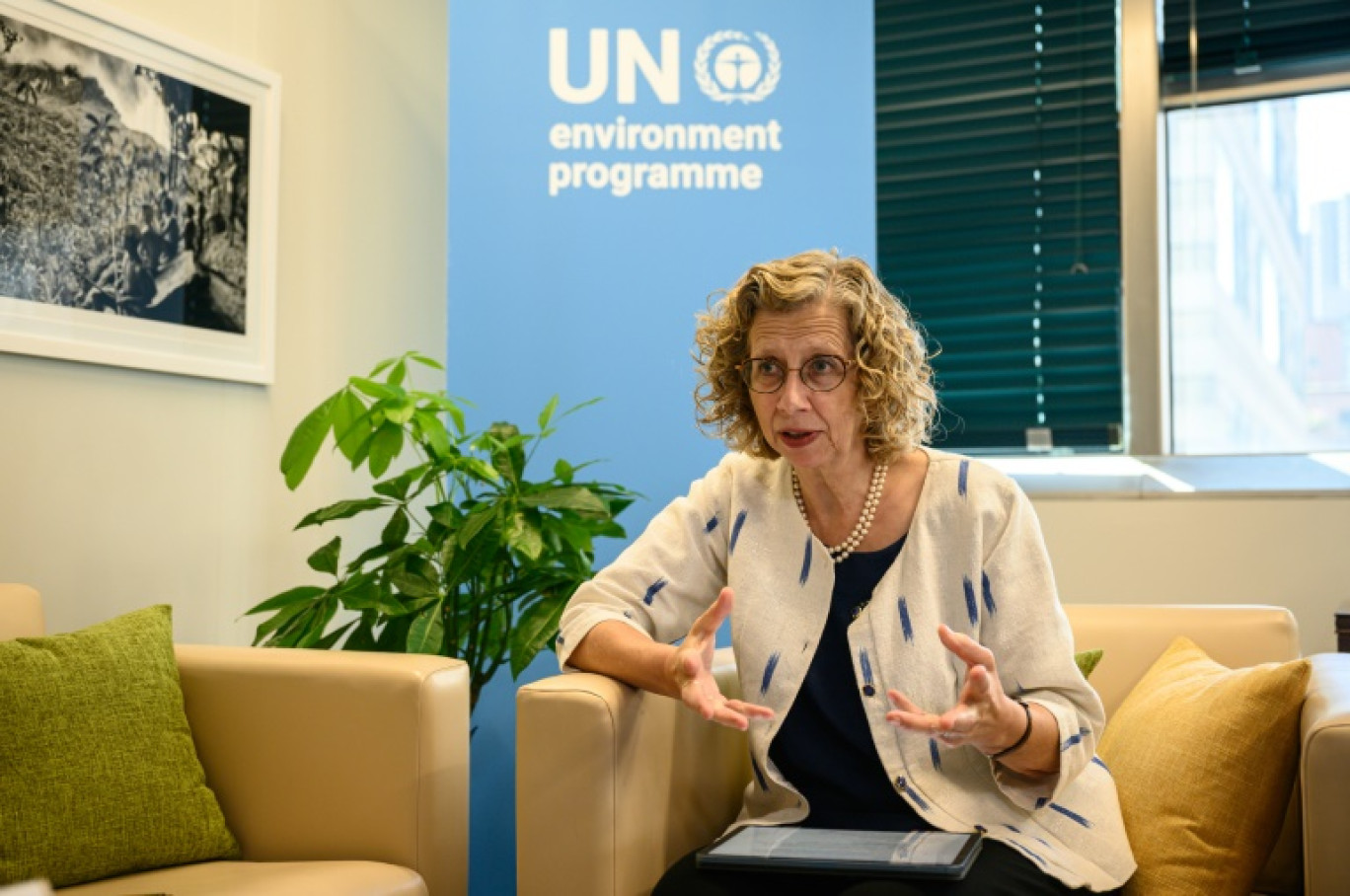 Inger Andersen, directrice exécutive du Programme des Nations unies pour l'environnement, lors d'une interview au siège de l'ONU à New York, le 21 septembre 2023 © Ed JONES