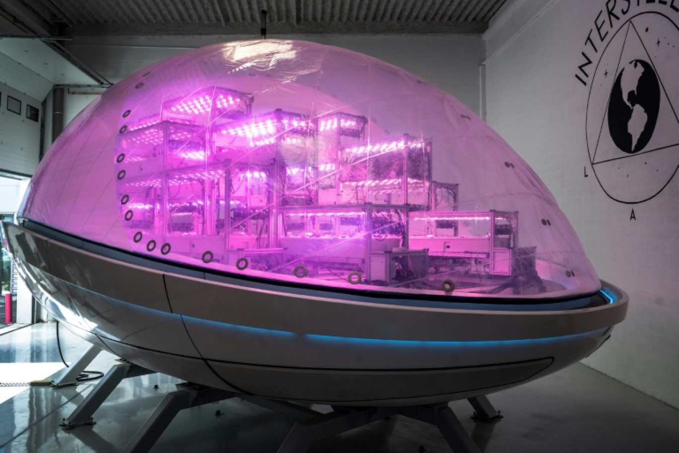 La serre Biopod inspirée de recherches spatiales menées par la start-up Interstellar Lab, le 25 septembre 2023 à Ivry-sur-Seine, près de Paris © BERTRAND GUAY