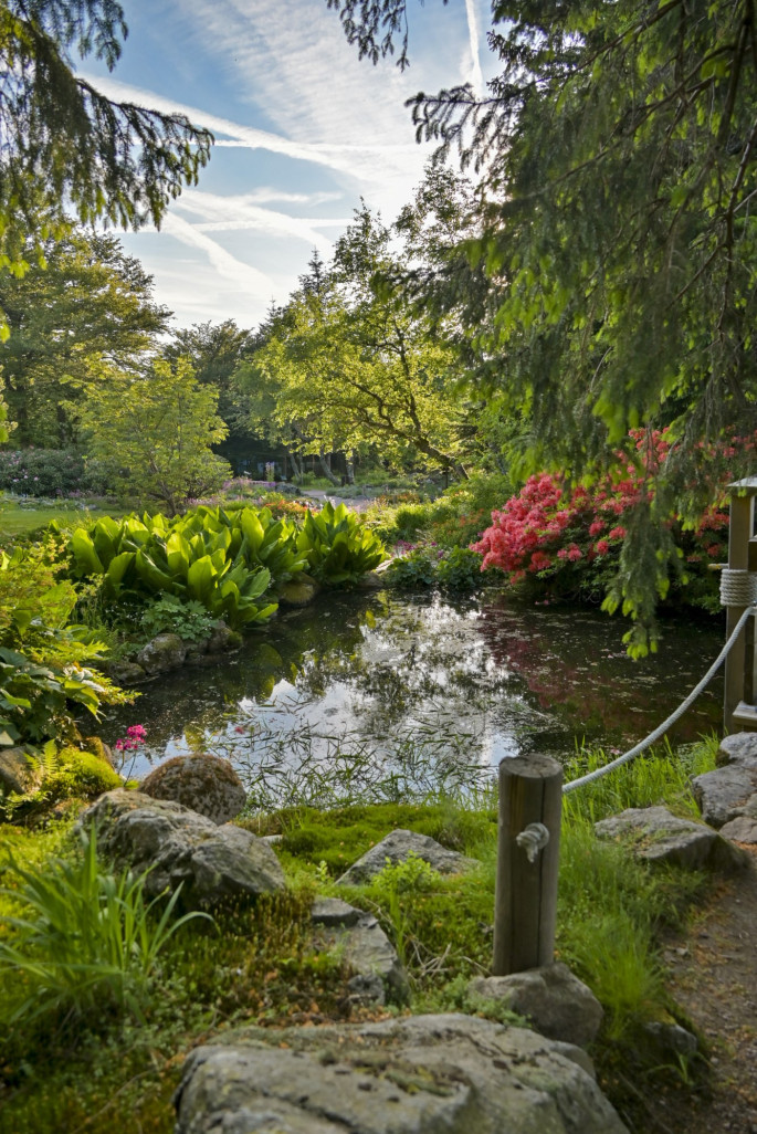 © Jardin d'altitude du Haut Chitelet