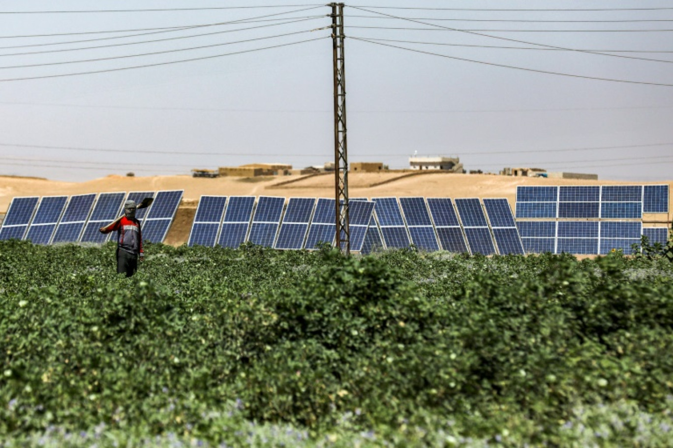 Un homme tient une pelle dans un champ de pastèques près de panneaux solaires utilisés pour alimenter l'irrigation des champs dans une ferme du village d'Al-Haddadiya dans le nord-est de la Syrie, le 24 septembre 2023 © Delil SOULEIMAN