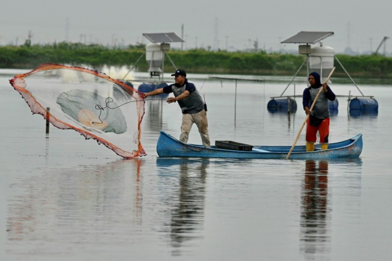 Des pêcheurs dans le bassin de production d'un d'élevage de crevettes à Taura, le 31 juillet 2023 en Équateur © Marcos Pin