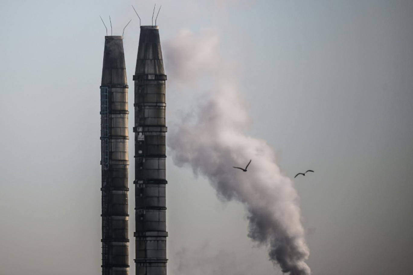 Raffinerie de pétrole de TotalEnergies à Donges, dans l'ouest de la France © LOIC VENANCE