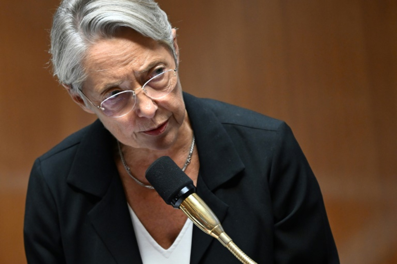 Elisabeth Borne à l'assemblée nationale le 10 octobre 2023 © Miguel MEDINA