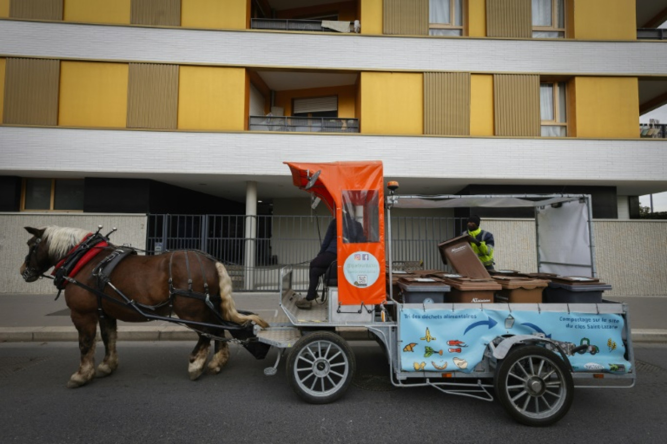 Le cheval Queteur et le Malien Mamadou assurent la collecte de déchets alimentaires, le 16 octobre 2023 à Stains, en Seine-Saint-Denis © Geoffroy Van der Hasselt