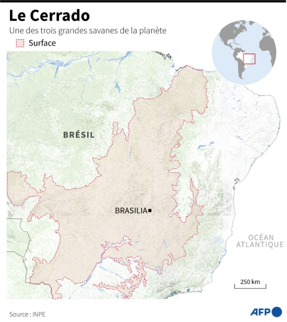 Carte du Brésil localisant le Cerrado, une vaste savane tropicale capitale dans la lutte contre le réchauffement climatique © Gabriela VAZ