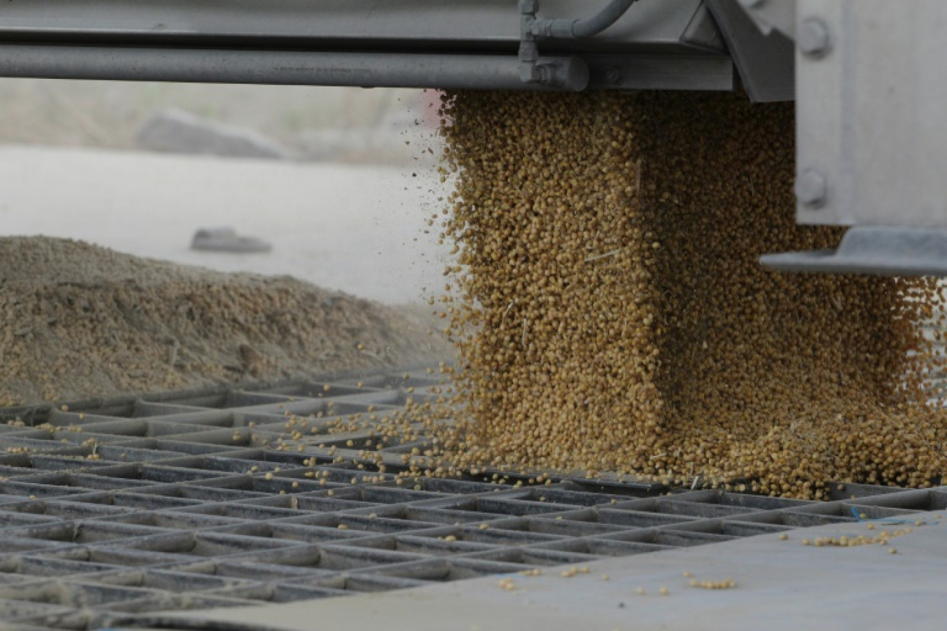 Du soja tombe des cuves d'un camion pour être chargé sur une barge sur le Mississippi en contrebas, le 11 octobre à Finley dans le Tennessee © Ulysse BELLIER