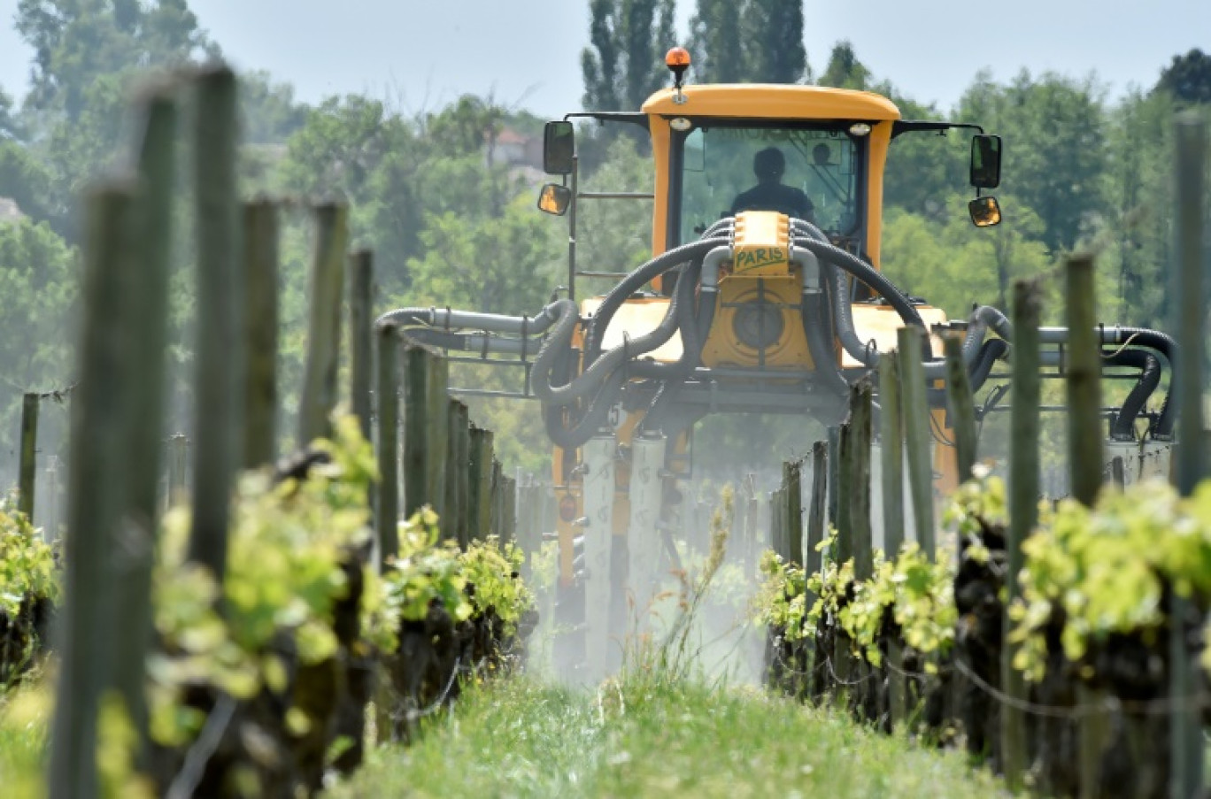 Un tracteur viticole pulvérise un traitement phytosanitaire sur les raisins, le 26 avril 2018, dans un vignoble près de Saint-Émilion, à l'est de Bordeaux © GEORGES GOBET