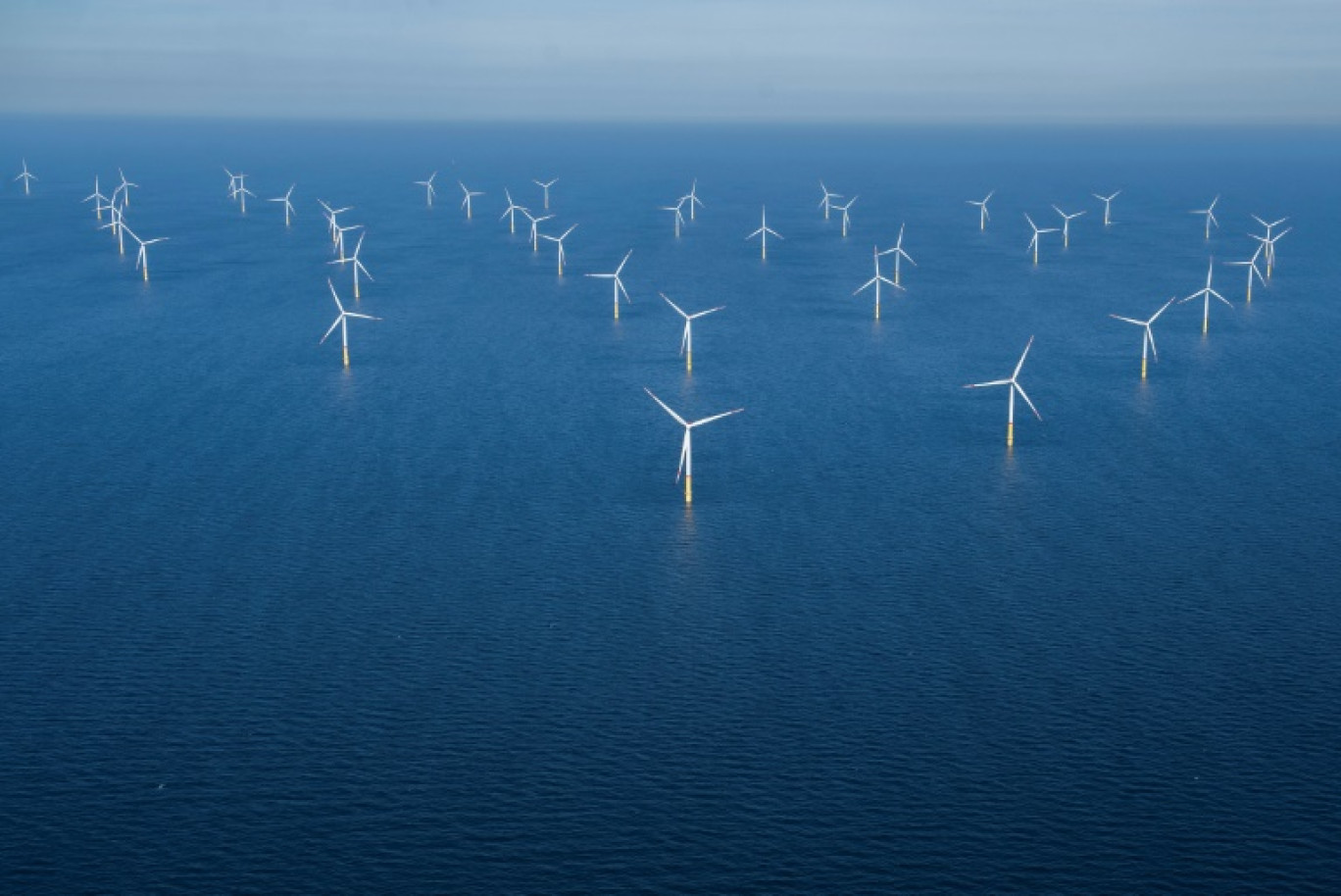 Un parc éolien en mer Baltique, au nord-est de l'île de Rügen, le 16 juin 2022 en Allemagne © FRED TANNEAU