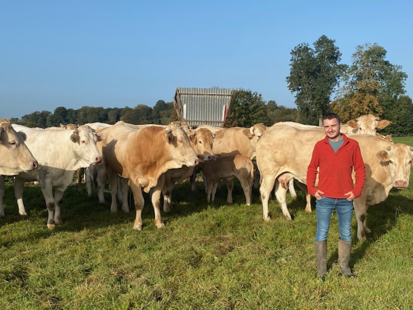 Guillaume Carpentier possède un cheptel de 90 têtes.