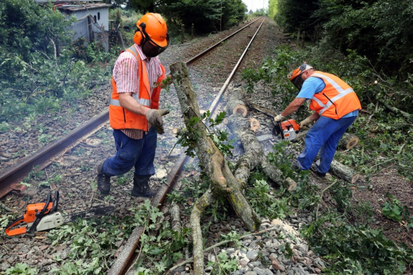 La SNCF a dénombré plusieurs dizaines d'incidents provoqués par la tempête Ciaran, essentiellement liés à des chutes d'arbres et de branches © NICOLAS TUCAT