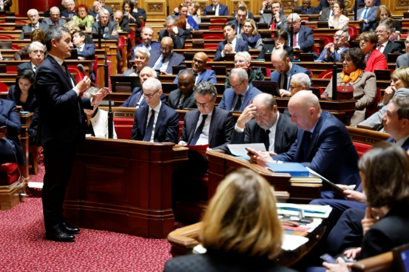 Le Sénat se penche à partir de lundi après-midi sur le bouillant projet de loi immigration, contesté par les oppositions comme les associations © Thomas SAMSON