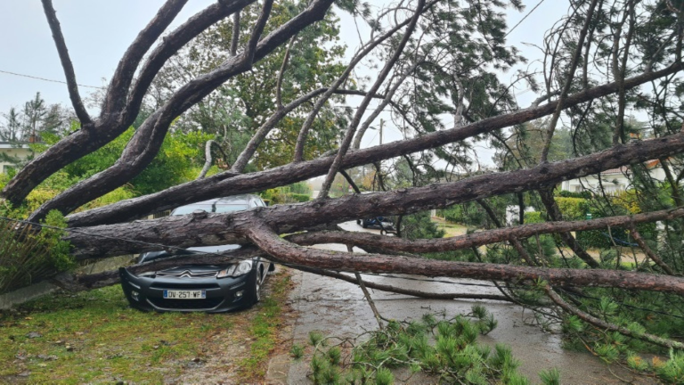 Un arbre tombé sur une voiture après le passage de la tempête Ciaran, le 2 novembre 2023 au Touquet, dans le Pas-de-Calais © Bernard ACHERE