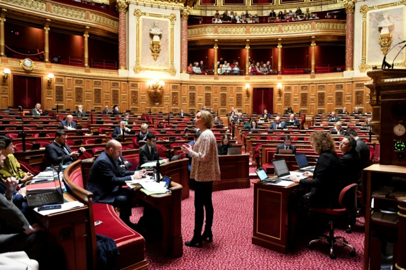 La rapporteure générale du budget de la Sécu, Elisabeth Doineau, le 6 mars 2023 au Sénat, à Paris © Alain JOCARD