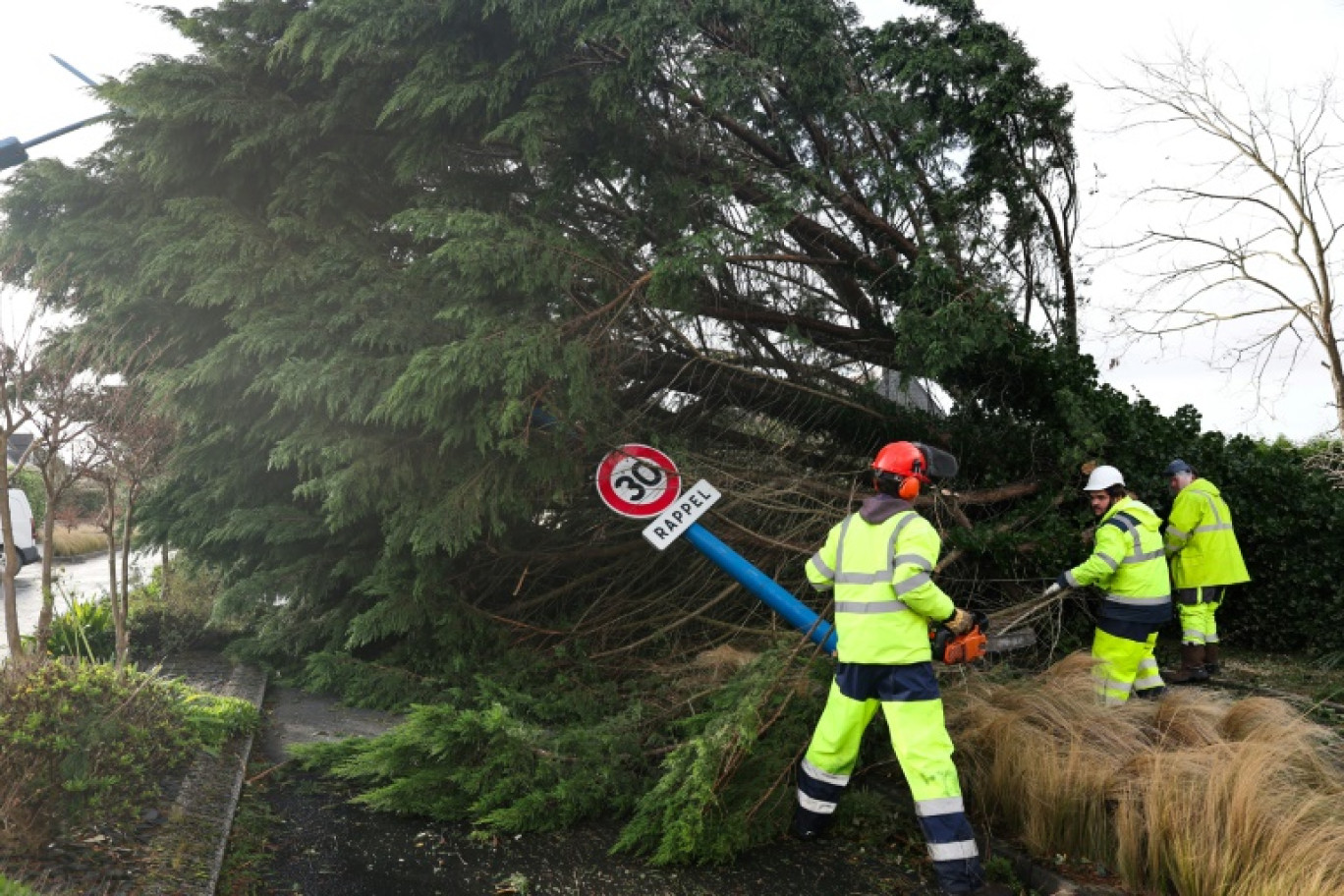 Des employés municipaux coupent et déplacent des arbres tombés à l'Île Tudy, le 2 novembre 2023, alors que la tempête Ciaran frappe la région. © FRED TANNEAU