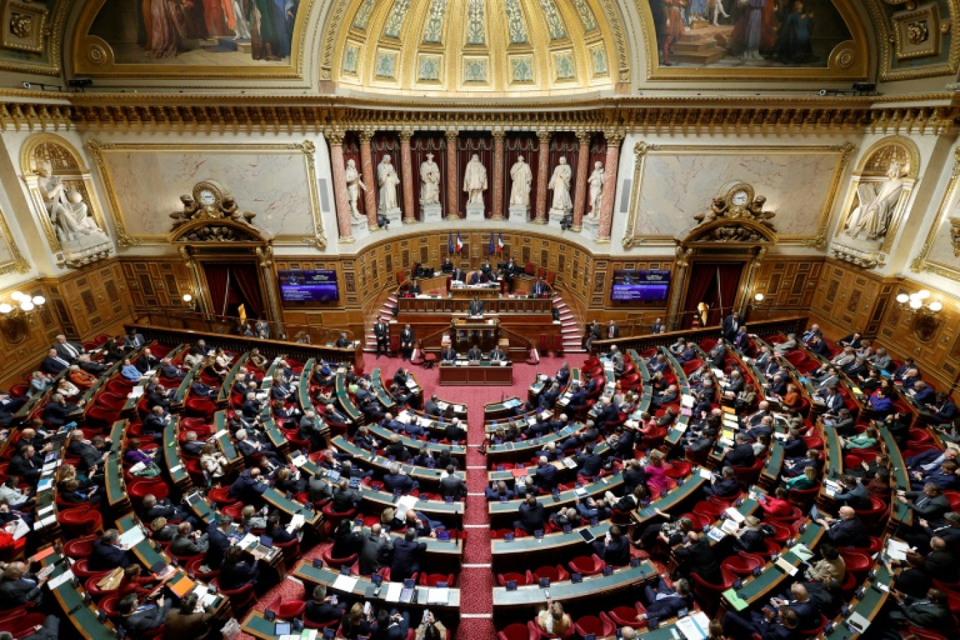 Les sénateurs participent à une séance, le 14 novembre 2023 à Paris © Geoffroy VAN DER HASSELT