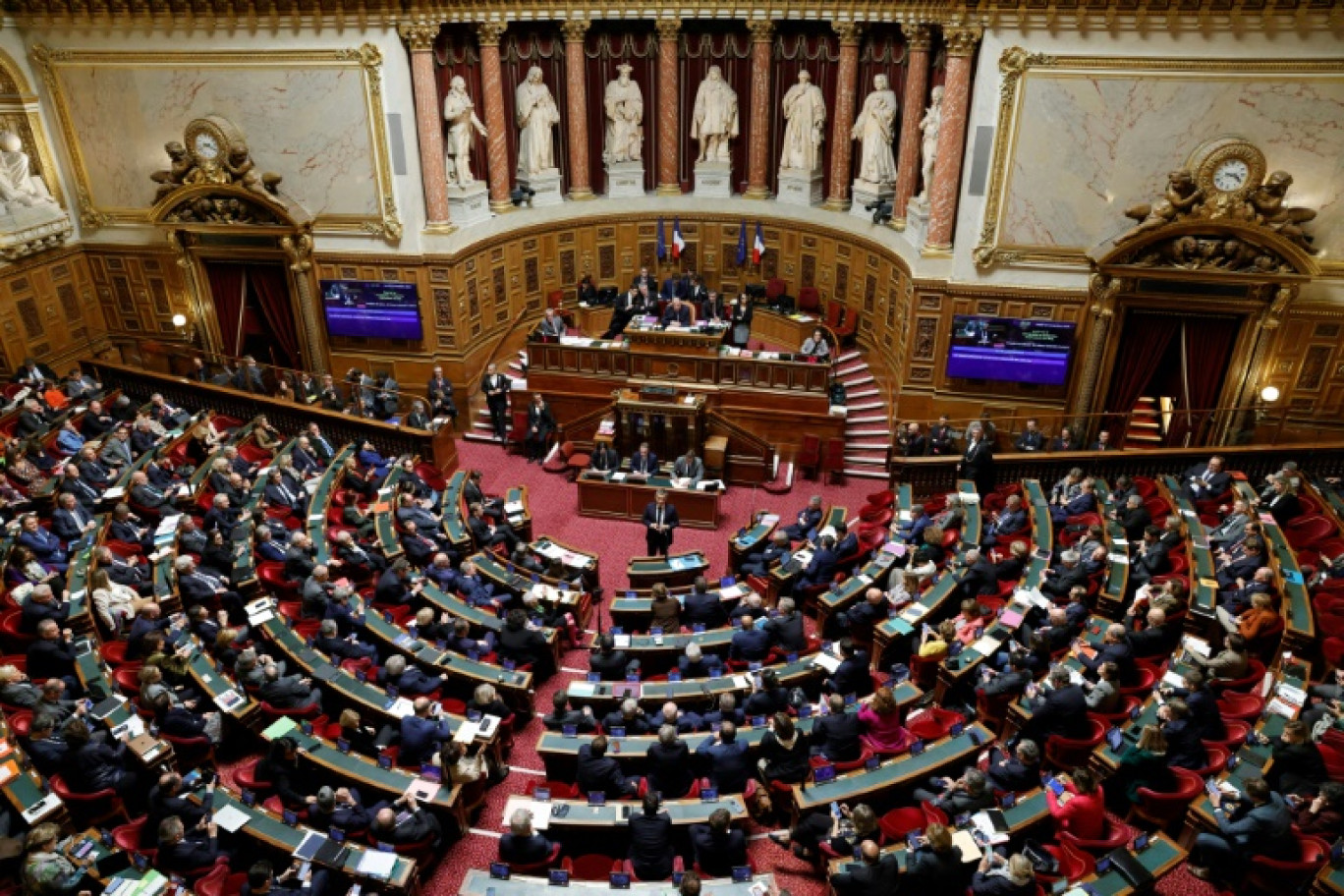 L'hémicycle du Sénat pendant un débat le 14 novembre 2023 © Geoffroy Van der Hasselt