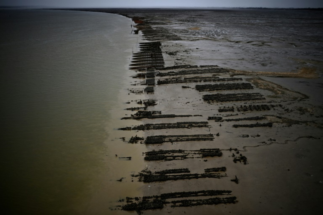 Des parcs à huîtres dans la Seudre, à Marennes (Charente-Maritime), le 17 novembre 2023 © Christophe ARCHAMBAULT