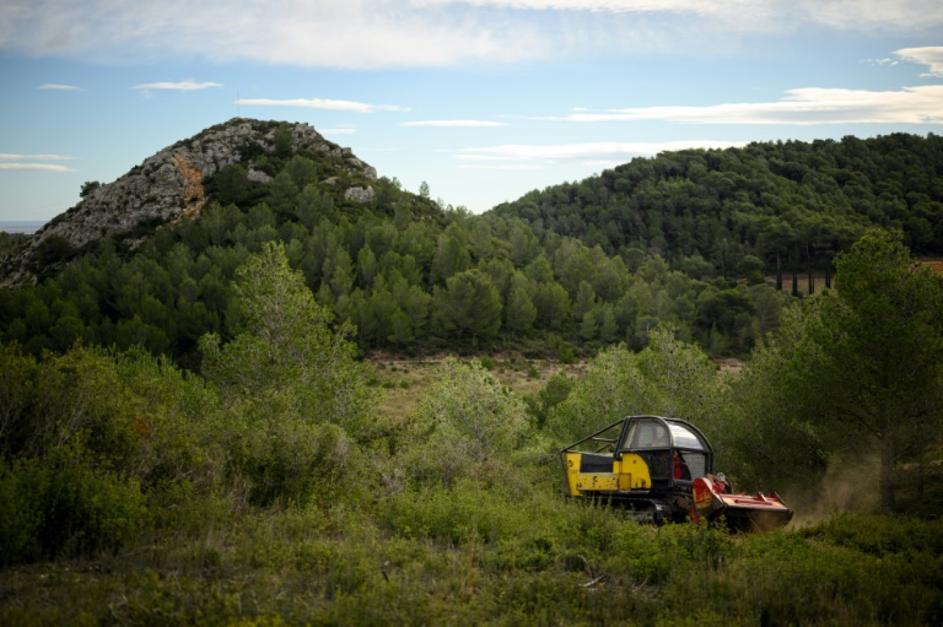 Des équipes de l'Office nationale des forêts (ONF) débroussaillent autour de Peyriac-de-Mer (Aude), le 21 novembre 2023 © Lionel BONAVENTURE