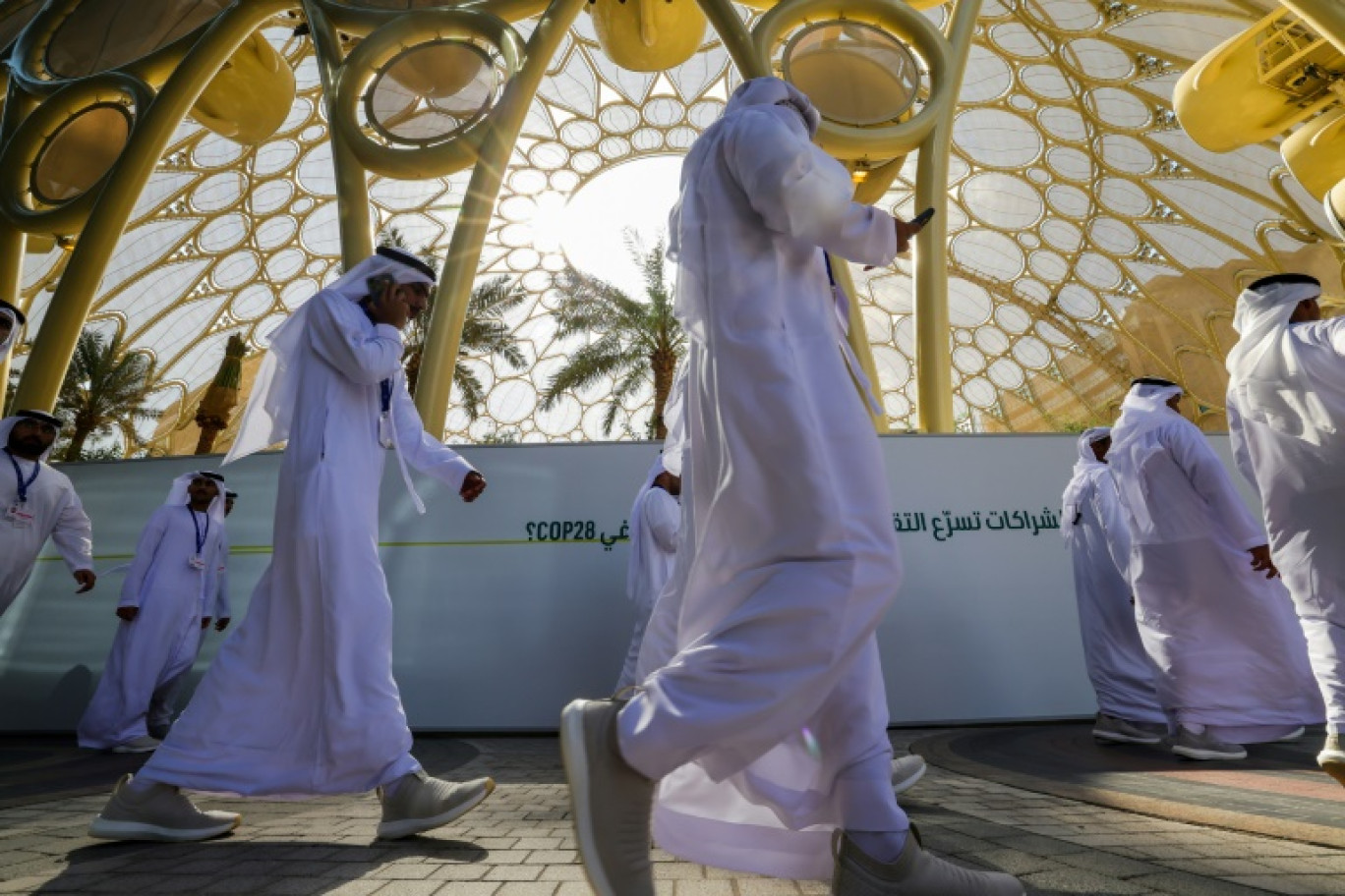 La COP28 est organisée par l'ONU Climat et le pays hôte, les Emirats arabes unis © Karim SAHIB