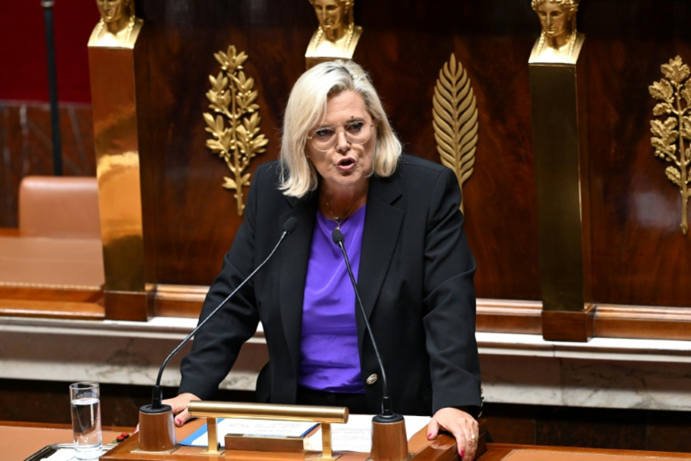 La député Les Republicains Michèle Tabarot lors d'une session parlementaire à l'Assemblée, le 23 octobre 2023 © Bertrand GUAY