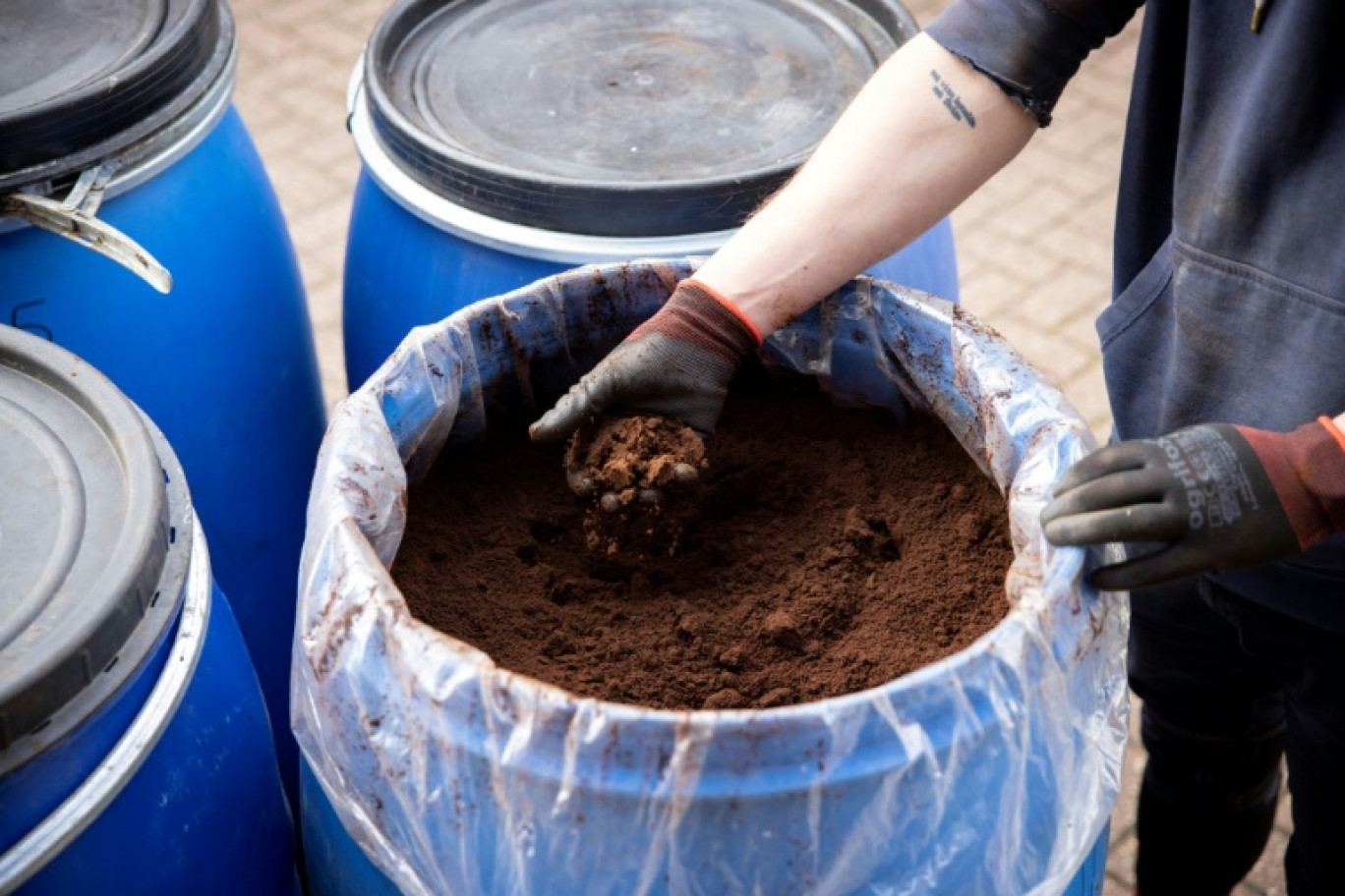 La mairie de Paris vise l'installation d'environ 500 poubelles dédiées uniquement aux biodéchets alimentaires aux points de tri d'ici la fin de l'année 2024 © Tolga Akmen