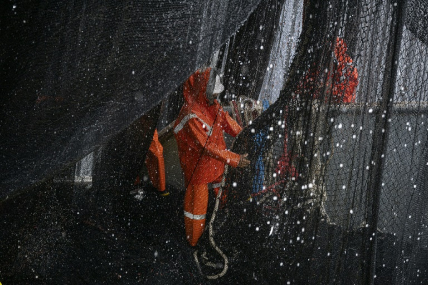 Pécheurs à bord d'un chalutier au large des côtes péruviennes le 19 novembre 2023 © Ernesto BENAVIDES