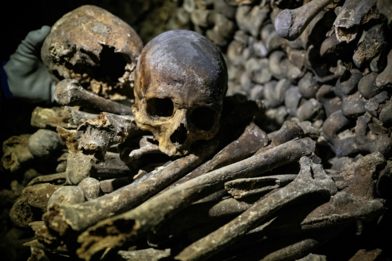 Crânes et os humains des Catacombes de Paris, le 12 décembre 2023 © JULIEN DE ROSA