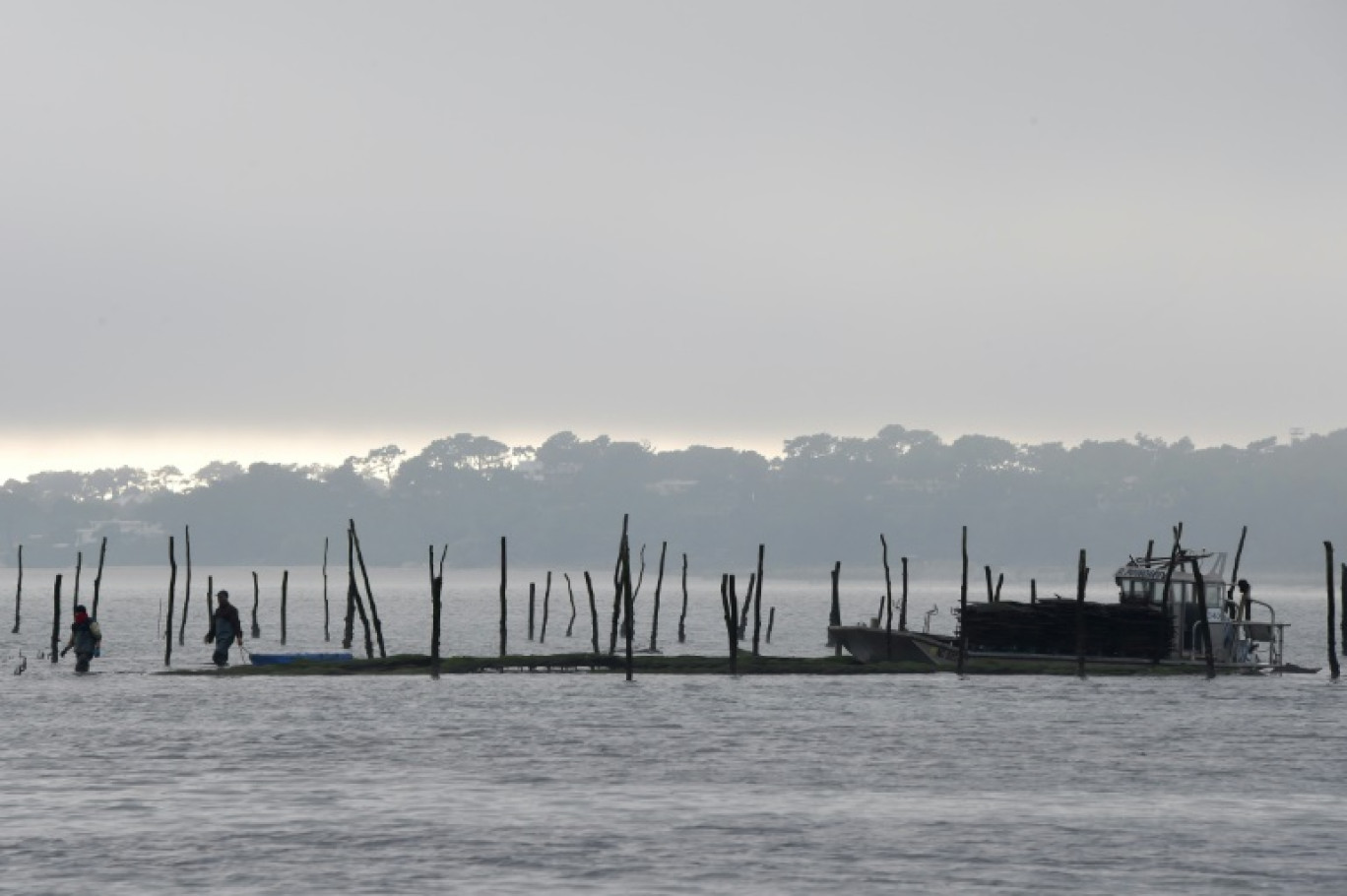 Un parc ostréicole sur la Bassin d'Arcachon le  6 décembre 2017 © MEHDI FEDOUACH