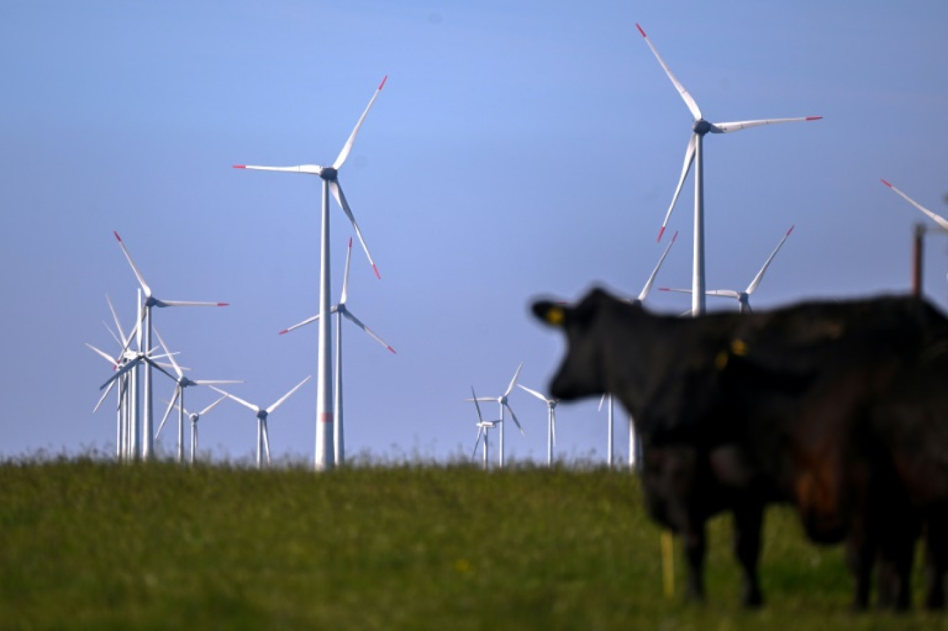 Des éoliennes près de Lichtenau, dans l'ouest de l'Allemagne, le 31 mai 2023 © Ina FASSBENDER