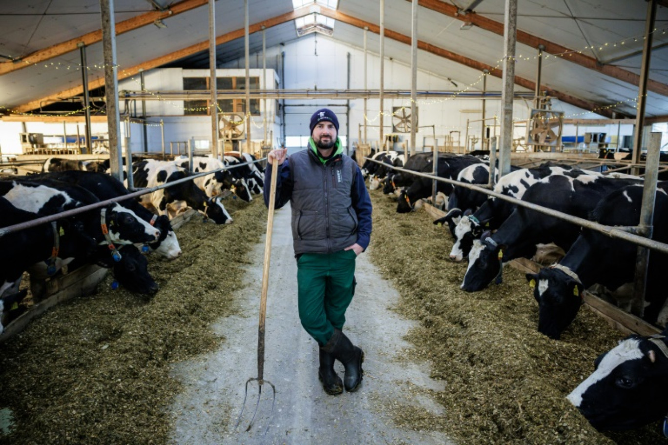 L'éleveur Marc Bernhardt dans sa ferme de vaches laitières, le 10 janvier 2024 à Freital, dans l'est de l'Allemagne © JENS SCHLUETER