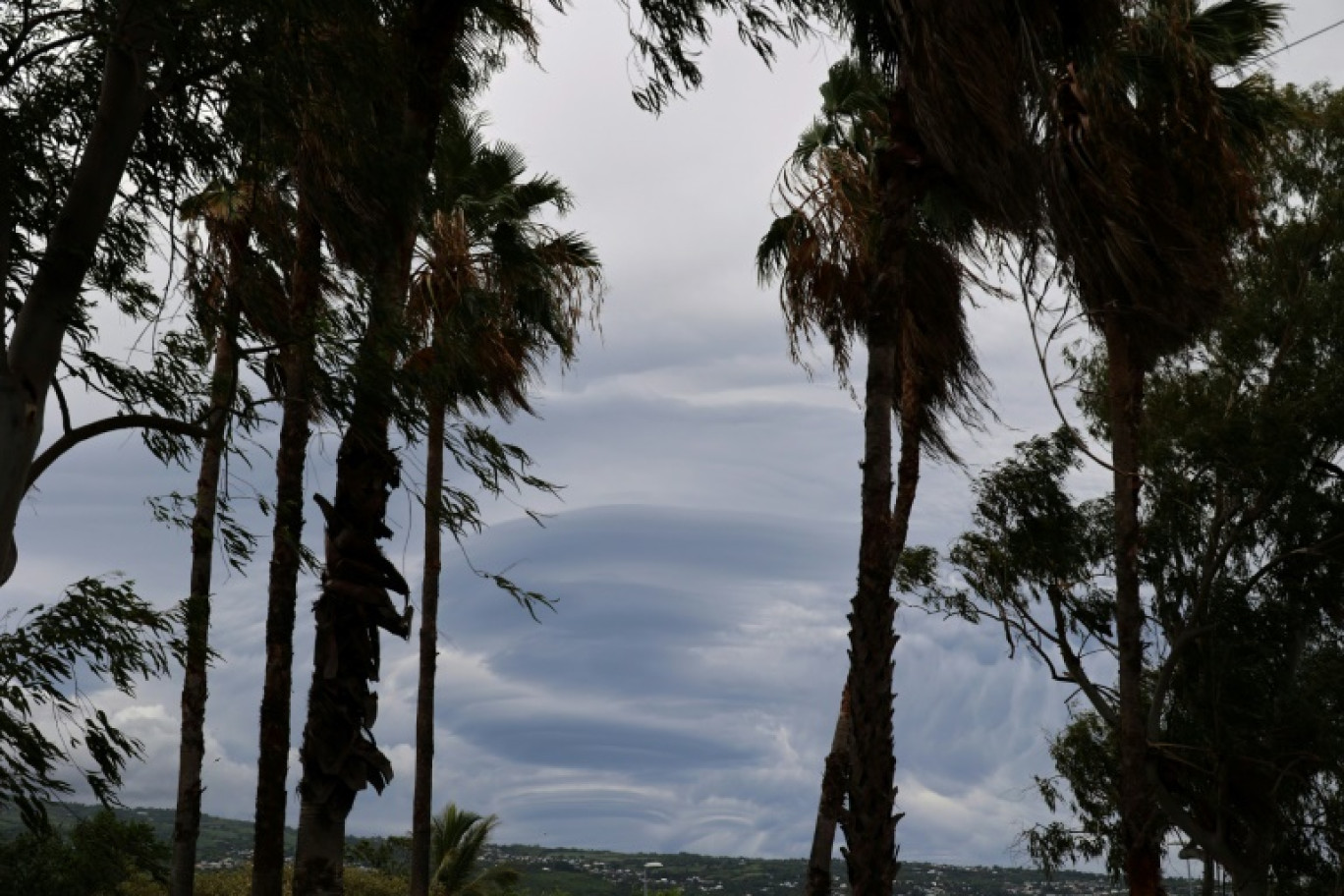 Des habitants davant un arbre tombé sur une route après le passage du cyclone Belal à Saint-Paul, le 15 janvier 2024 à La Réunion © Richard BOUHET