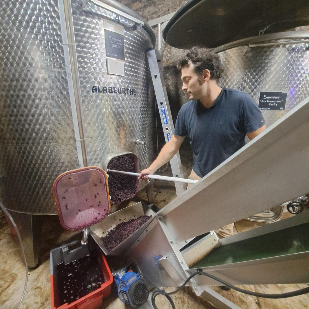 Bastien Gautheron veut faire renaître le Dijonnais en plantant des vignes et en installant une cuverie dans le quartier de l’Arsenal à Dijon. (© Bastien Gautheron)