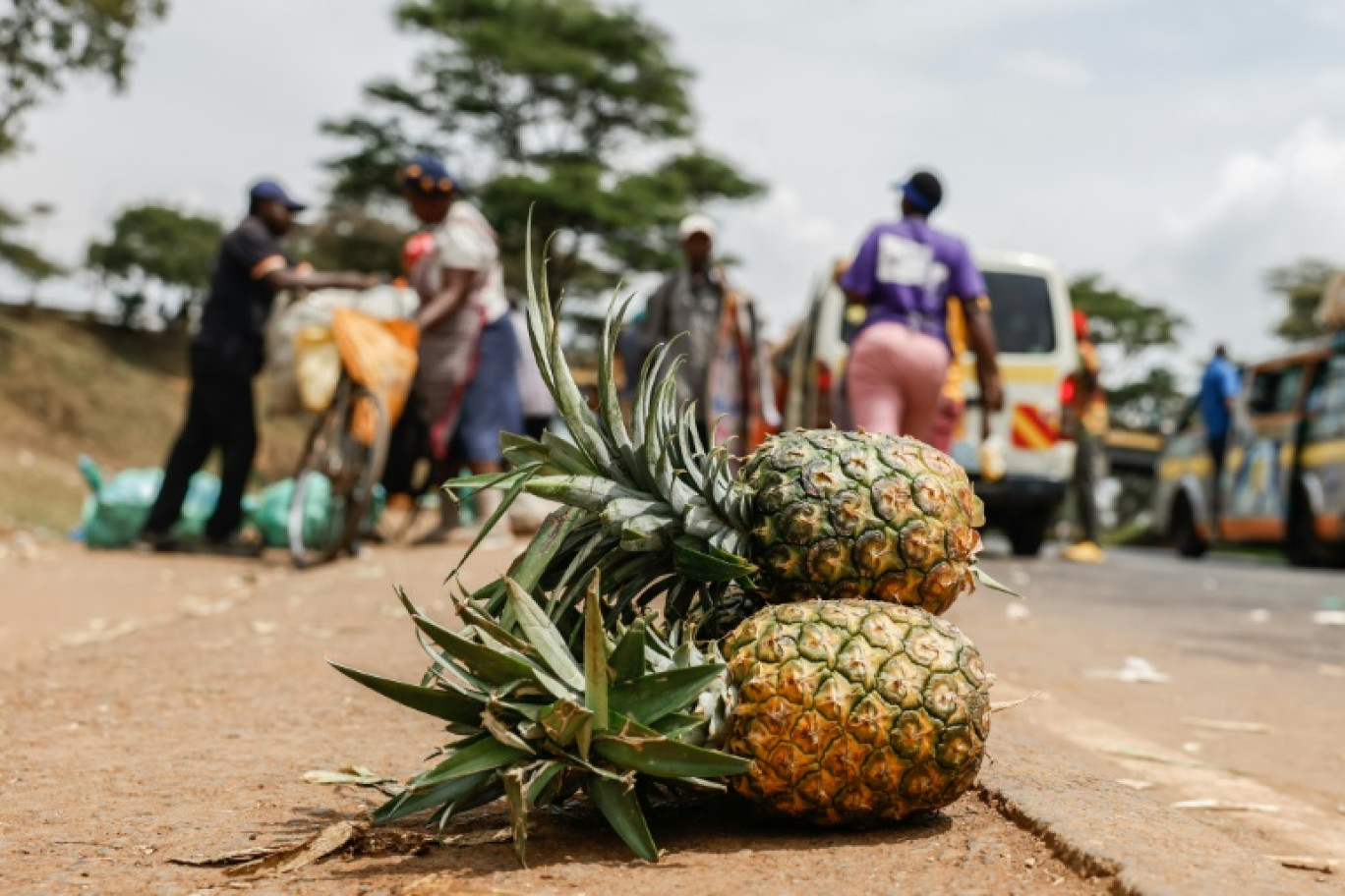 Des ananas sont vendus sur le bord de la route en face d'une plantation du géant américain Del Monte à Kabati (Kenya) le 18 janvier 2024 © SIMON MAINA