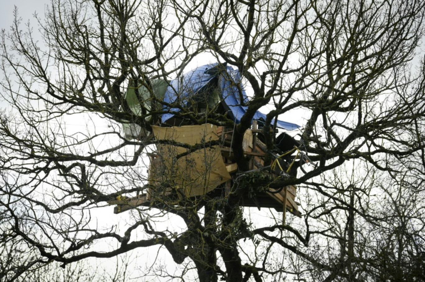 uNE cabane bâtie entre les branches d'un arbre de la Zone à défendre (ZAD) sur le tracé du projet d'autoroute A69, le 11 février 2024 à Saïx, dans le Tarn © Valentine CHAPUIS