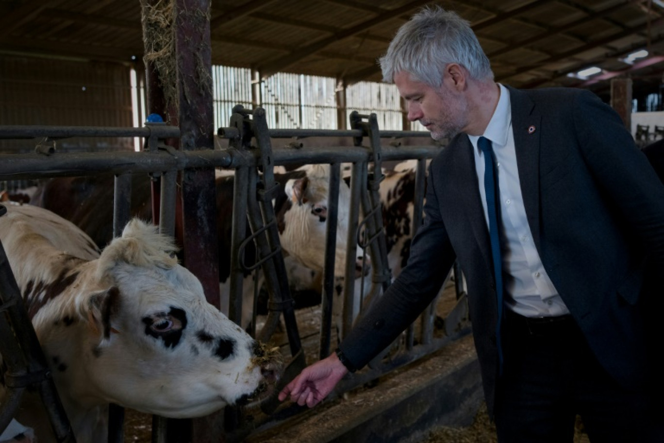 Laurent Wauquiez visite une ferme collective pour rencontrer des éleveurs et des agriculteurs à Montigne-les-Rairies, le 14 février 2024 © GUILLAUME SOUVANT