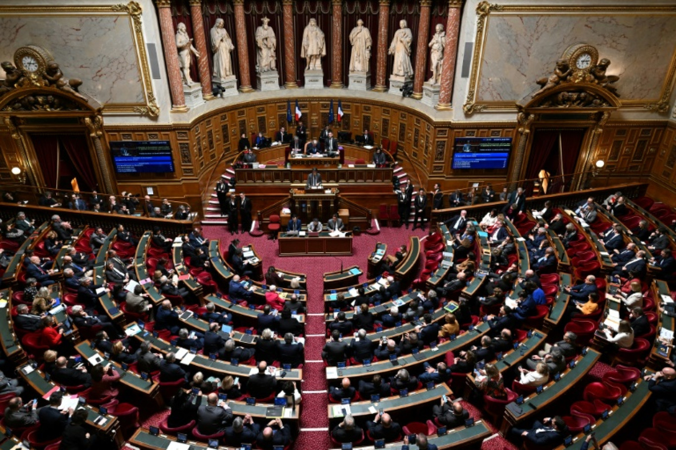 La chambre haute fait un premier pas pour l'inscription de l'IVG dans la Constitution: la commission des Lois du Sénat a décidé mercredi de "ne pas s'opposer" à la réforme gouvernementale malgré des réserves © Miguel MEDINA