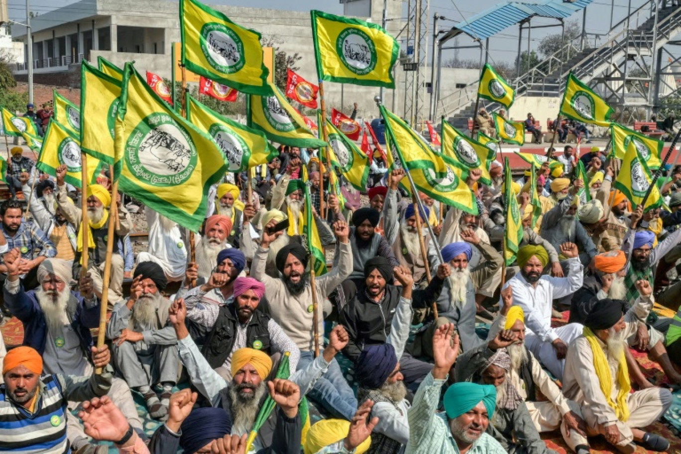 Des agriculteurs bloquent les voies ferrées lors d'une manifestation pour exiger des prix minimum pour les récoltes, dans une gare de Rajpura,le 15 février 2024 en Inde © Narinder NANU